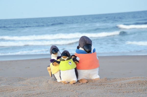 Rescuer Penguin - Image 8