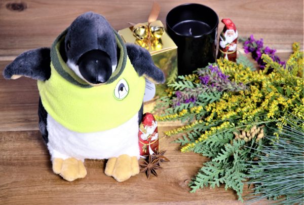 Rescuer Penguin - Image 7