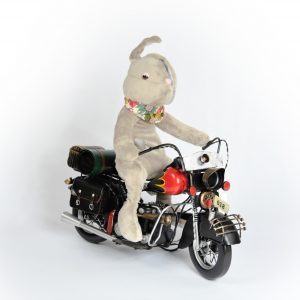Marmalade Bunny