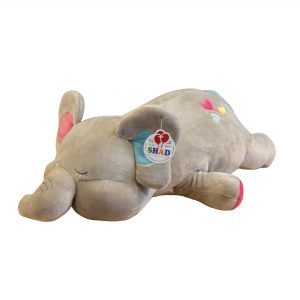 Sleeping Trumpet