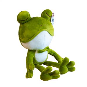 Mr Froggy