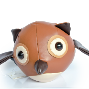 Owl Décor