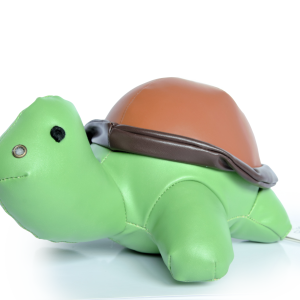 Turtle Décor