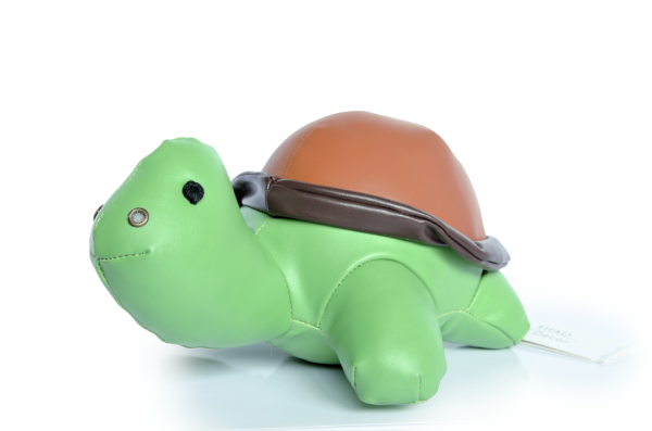 Turtle Décor