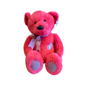 Teddy The Bear